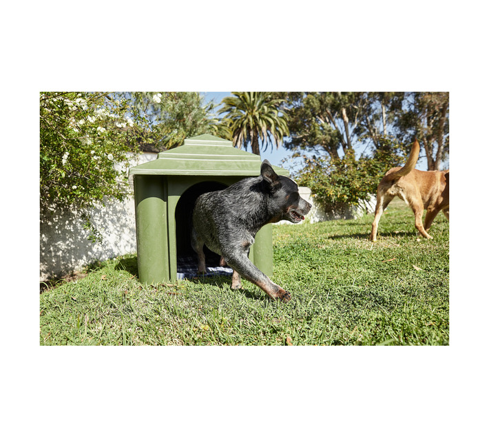 JoJo Medium Dog Kennel Stormy Sky Builders Outdoor Garden and