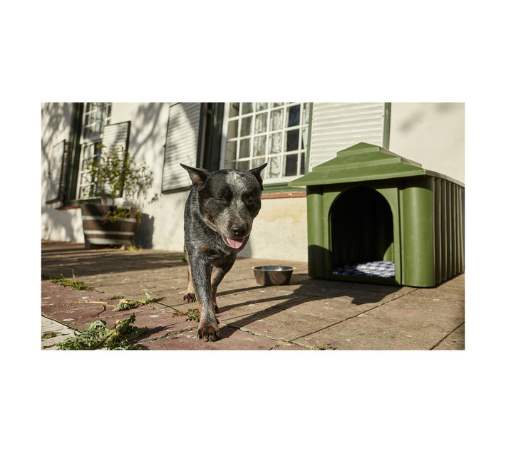 JoJo Medium Dog Kennel Stormy Sky Builders Outdoor Garden and